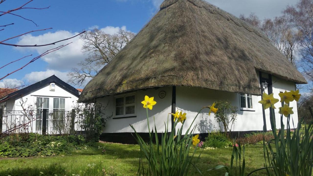 Frogs Hall B&B Eye  Dış mekan fotoğraf